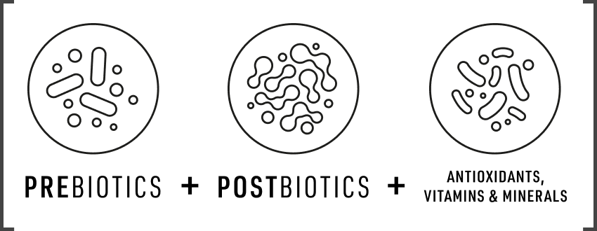 Pre biotics + post biotics + antioxidants, vitamins and minerals